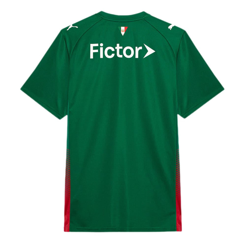 Palmeiras 26/27 Home Jersey - Fan Version - Image 2
