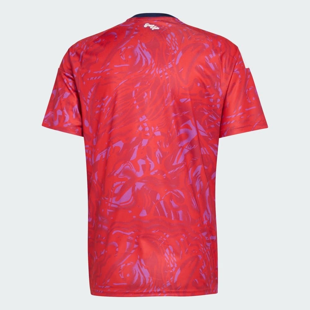 Costa Rica 2026 Home Jersey - Fan Version - Back View