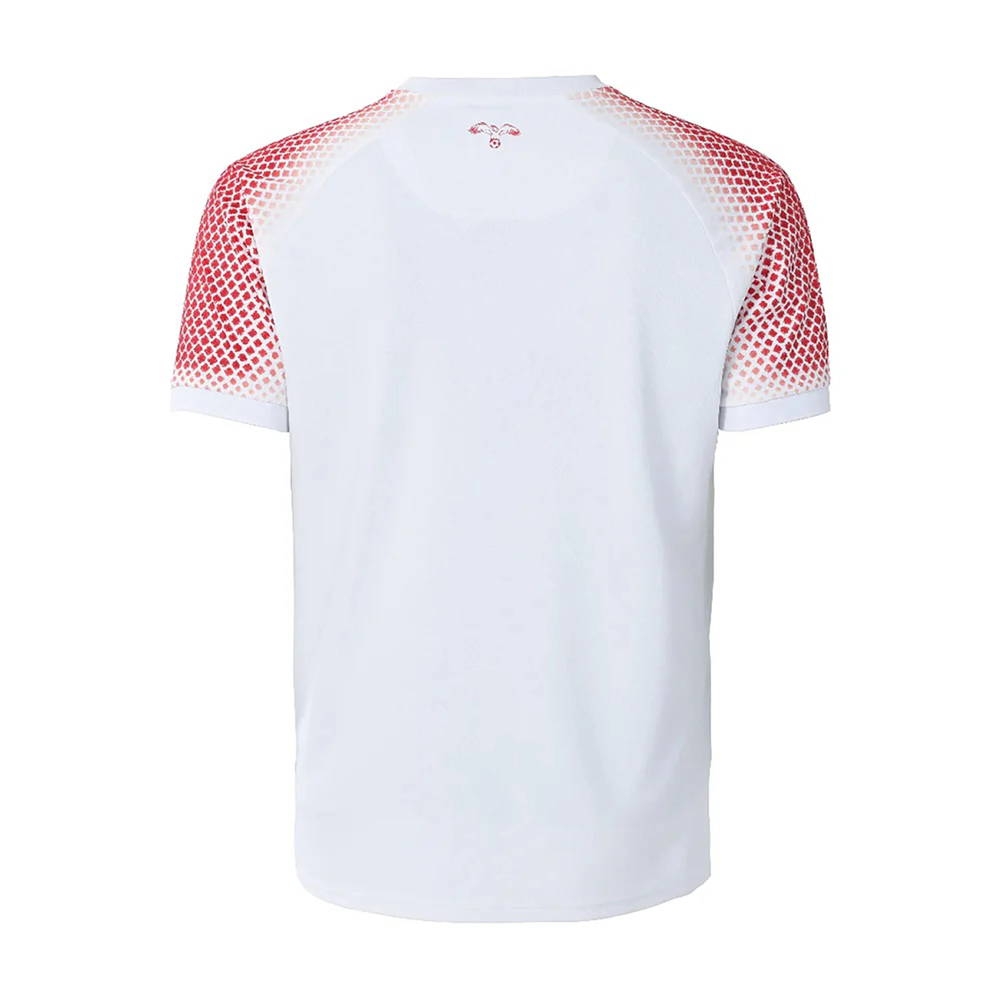 Jordan 2026 Home Jersey - Fan Version - Image 2